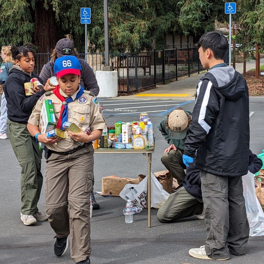 Scouts sorting food